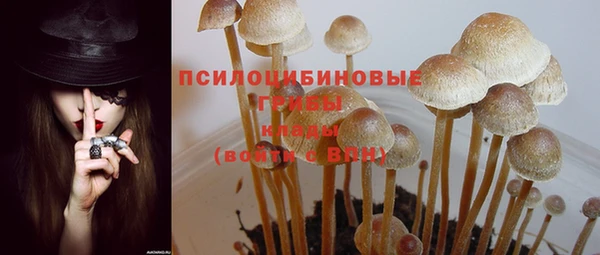 spice Карталы