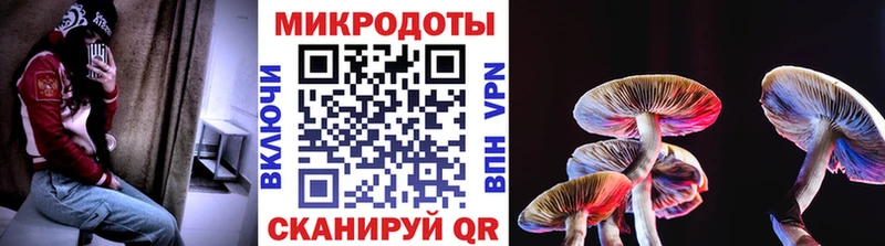 Купить где Одинцово Галлюциногенные грибы Cubensis
